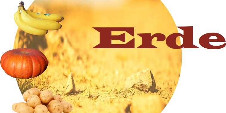 IMB_5 Elemente_Erde_03 Das Element ERDE